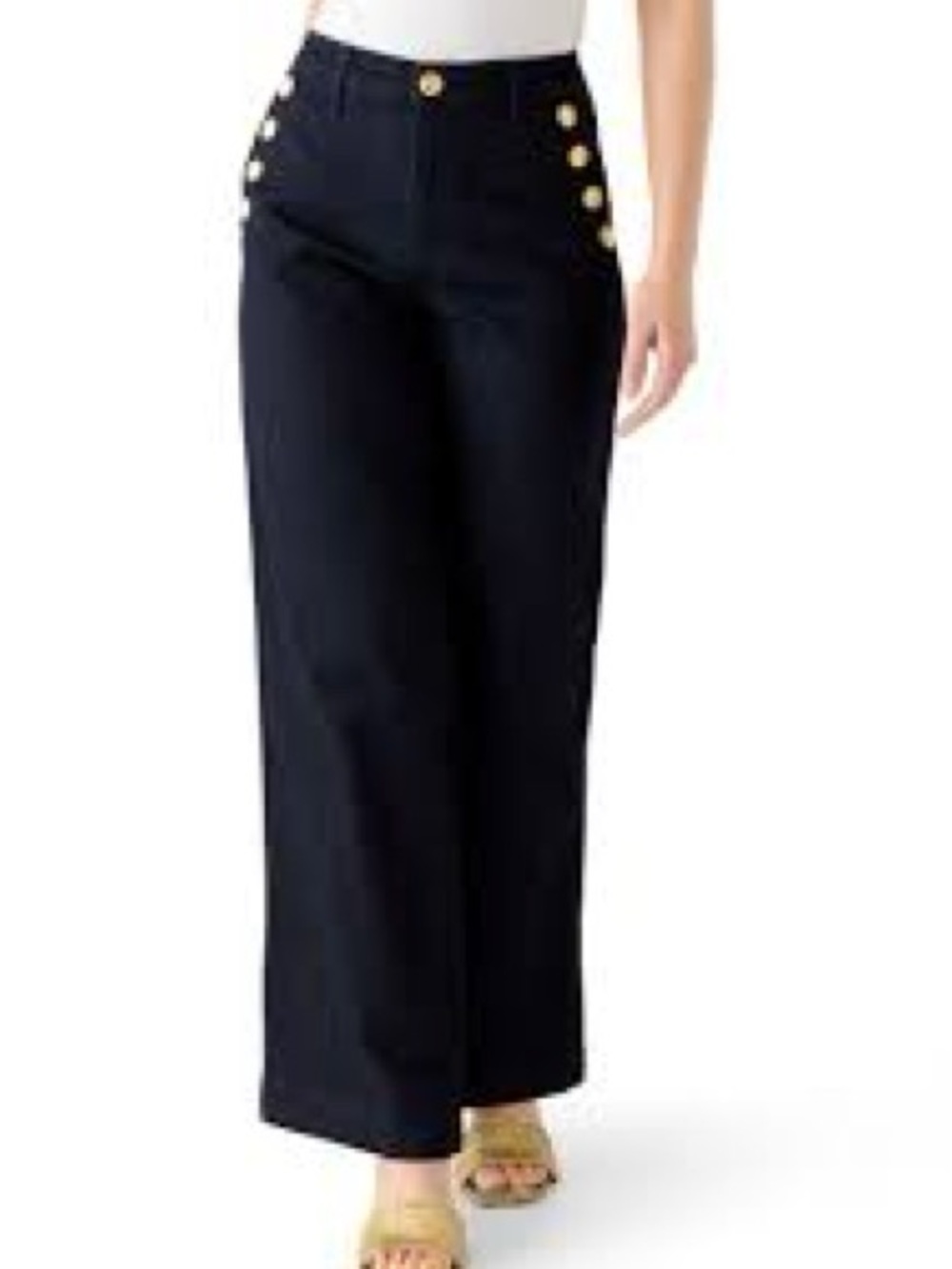 Ann Taylor Factory Navy Wide-Leg Pants with Gold Buttons